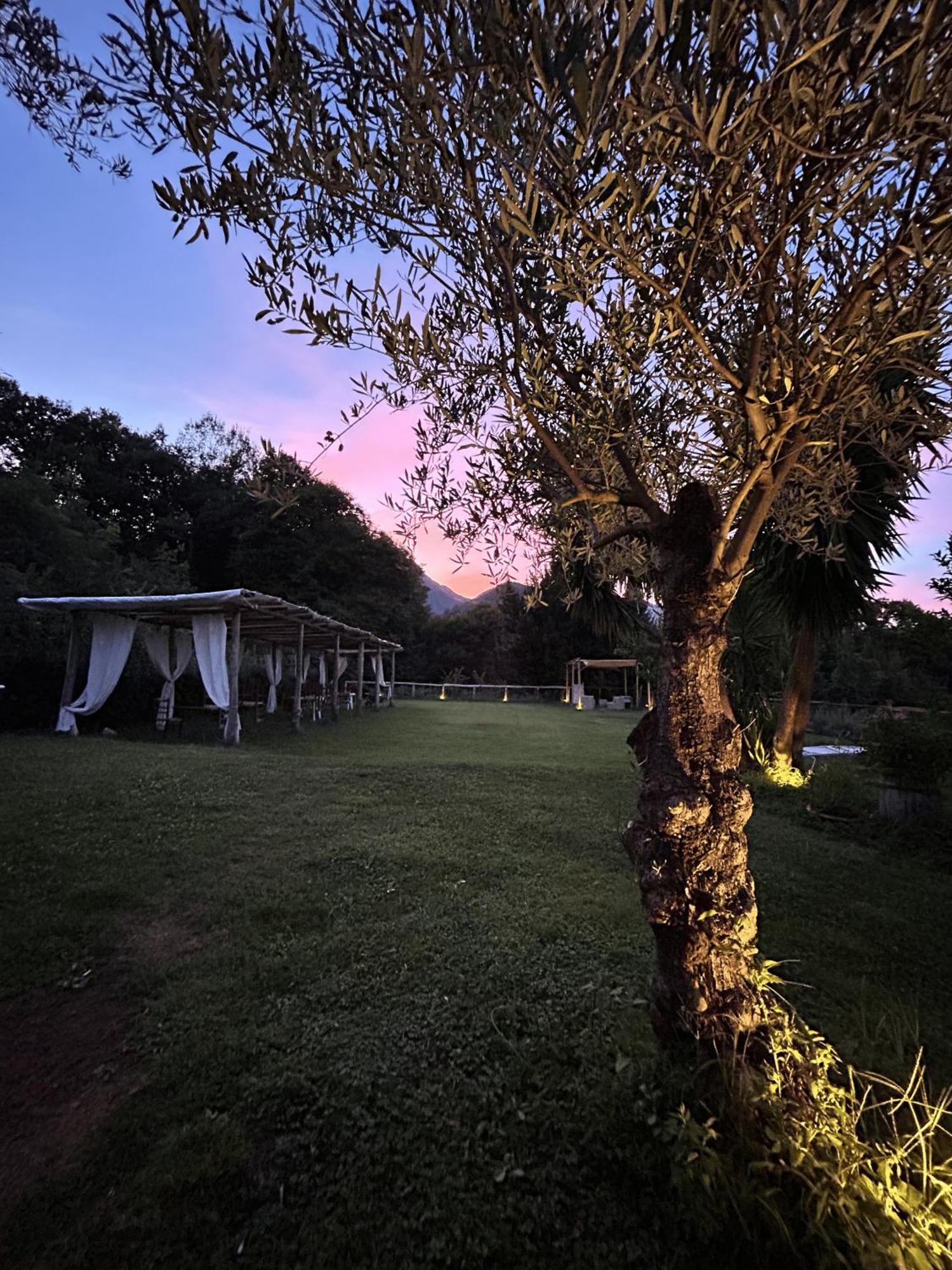 Agriturismo Colle Maiano Vietri sul Mare Exterior photo
